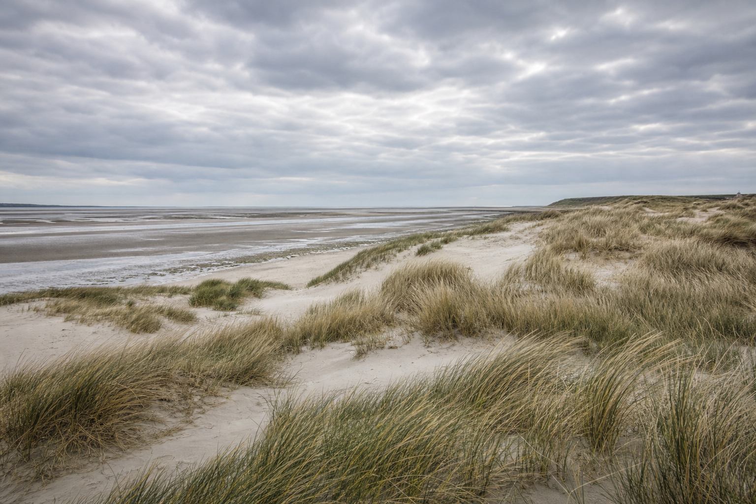 Dünen und Ostseeküste mit Wattflächen unter perlmuttfarbenem Himmel